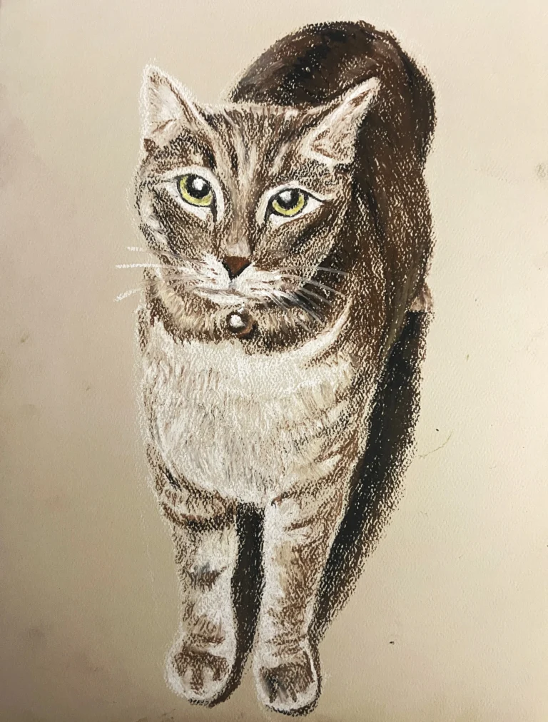 cat portrait in oil pastel