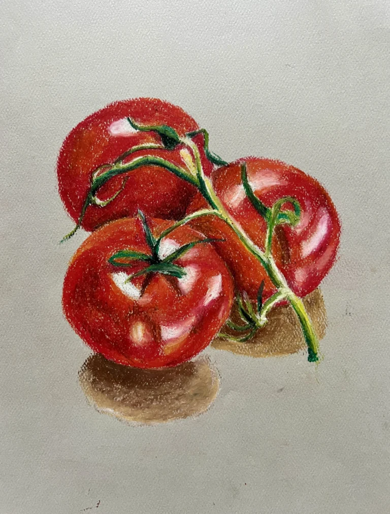 tomato art in oil pastel